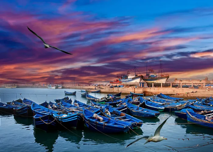Barcas azules en el puerto de Essaouira al atardecer