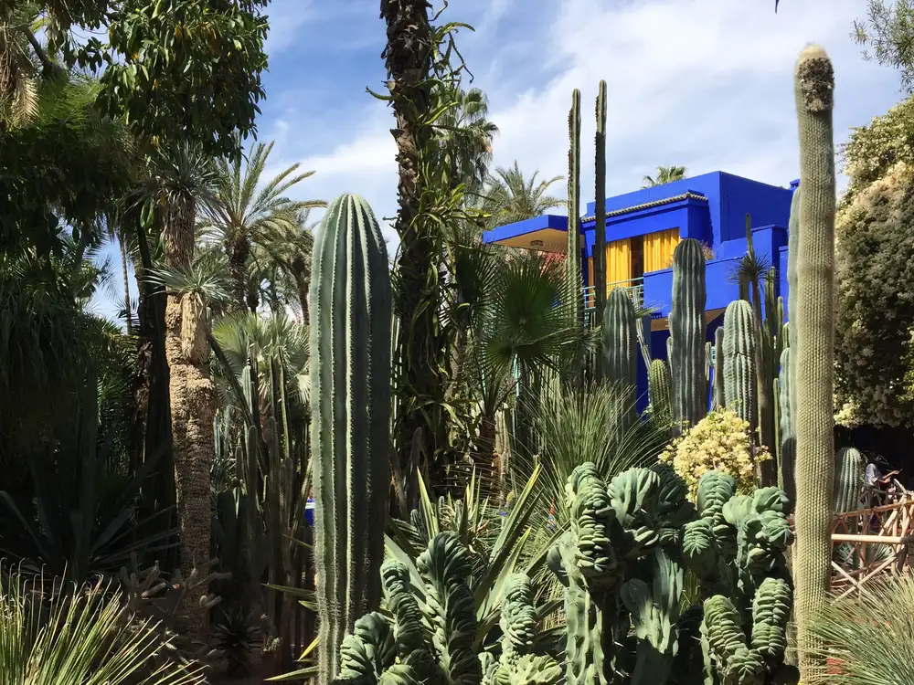 Jardín Majorelle en Marrakech