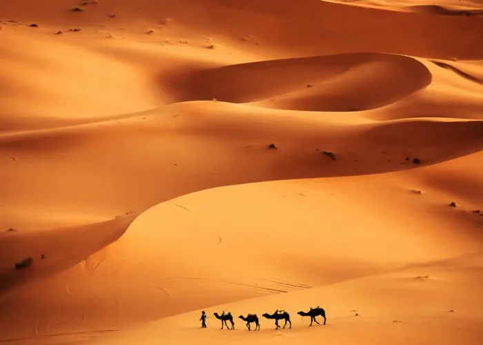 Caravana de dromedarios al atardecer en Erg Chebbi